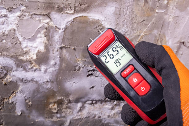 Best Black Mold Removal  in Round Rock, TX