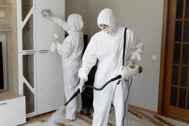 Best Professional Mold Removal  in Round Rock, TX