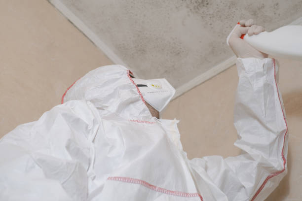 Best Toxic Mold Removal  in Round Rock, TX