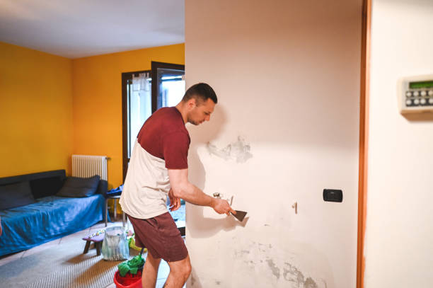 Professional Mold Removal in Round Rock, TX