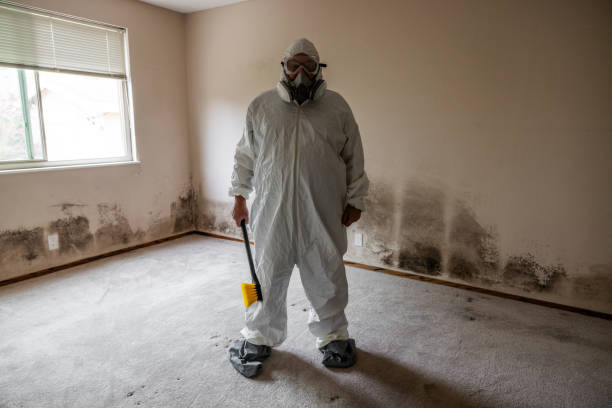 Certified Mold Removal in Round Rock, TX