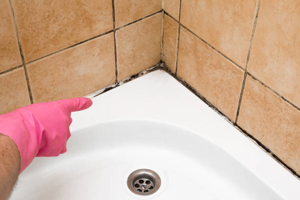 Best Mold Testing  in Round Rock, TX